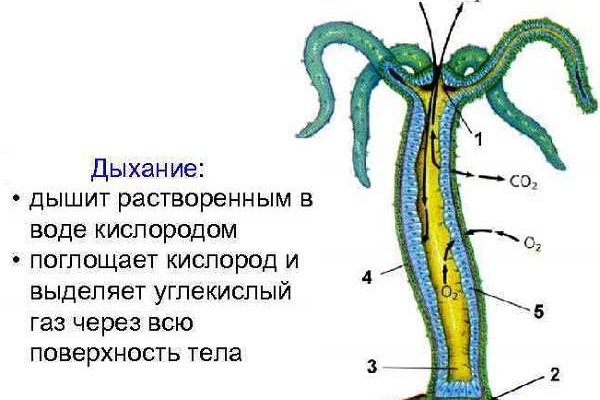 Kra28.cc