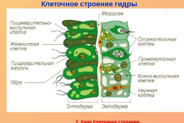 Кракен орг