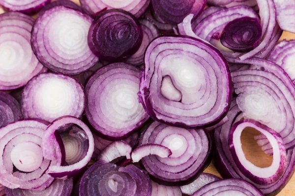 Kraken onion link